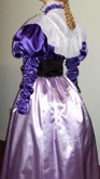 1896 jane Addams dress. Victorian & Civil War dresses