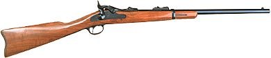 M1873 Springfield Carbine