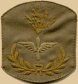 WWI Master Electrician Air Corps Insignia